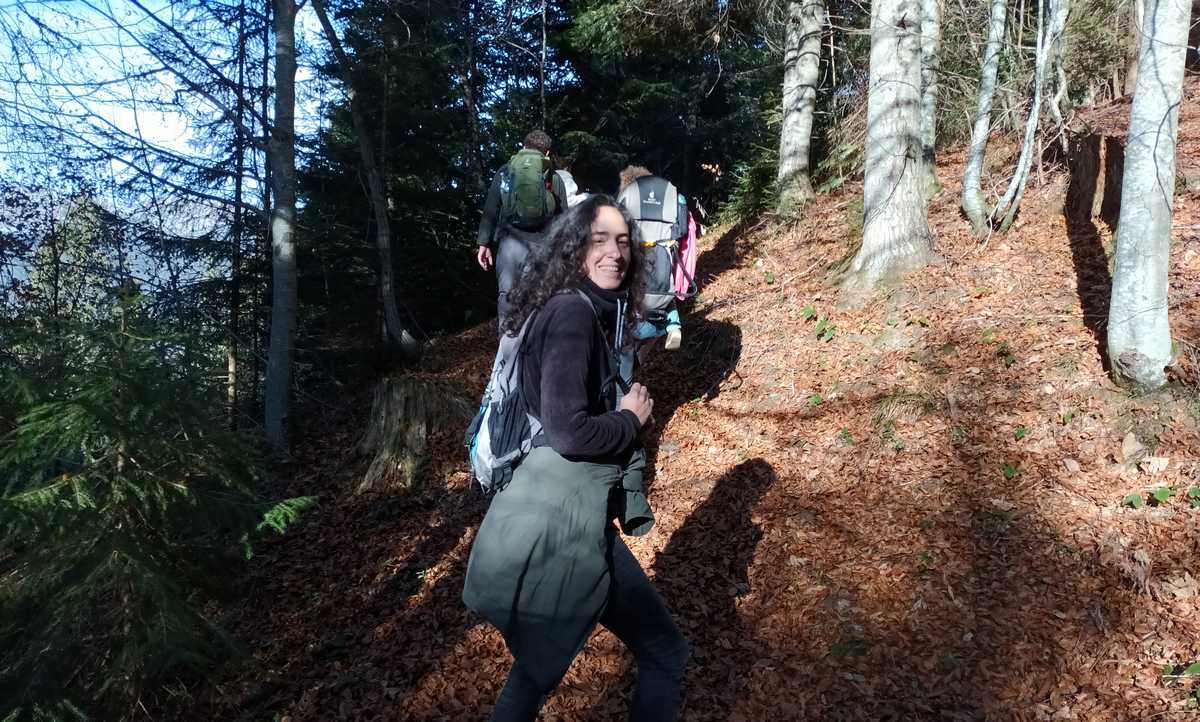 metiers-foret-light